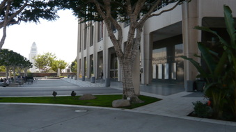 Enlarge photo 45