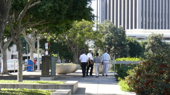 Enlarge photo 51