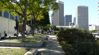 Enlarge photo 52