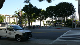 Enlarge photo 61