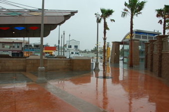 Enlarge photo 51