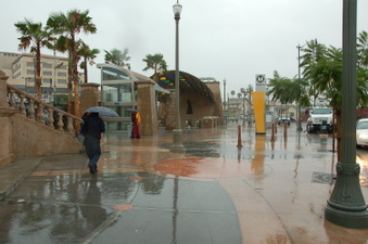 Enlarge photo 61