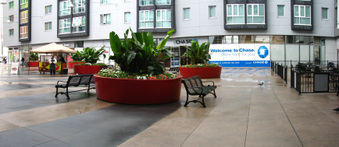 Enlarge photo 18