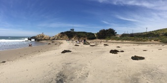 Enlarge photo 10