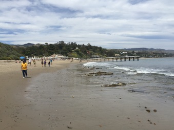 Enlarge photo 14