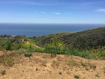 Enlarge photo 22