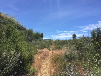 Enlarge photo 7
