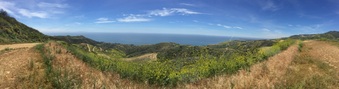 Puerco Canyon