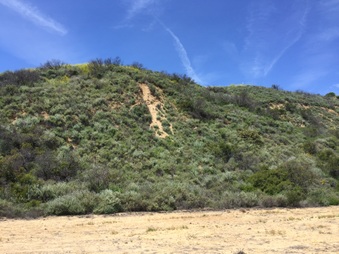 Enlarge photo 29