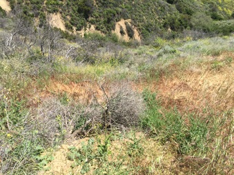 Enlarge photo 26