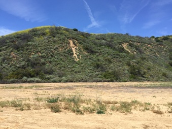 Enlarge photo 28