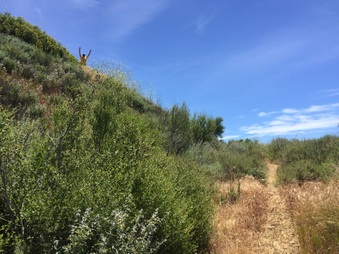 Enlarge photo 8