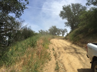 Enlarge photo 16