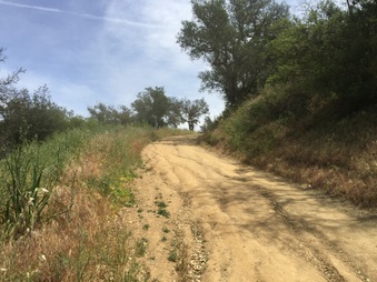Enlarge photo 17