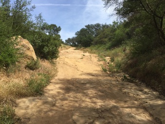 Enlarge photo 19