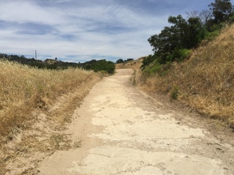 Enlarge photo 23