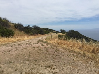 Enlarge photo 25