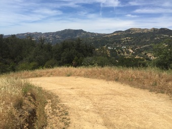 Enlarge photo 7
