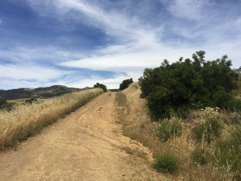 Enlarge photo 47