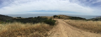Enlarge photo 45