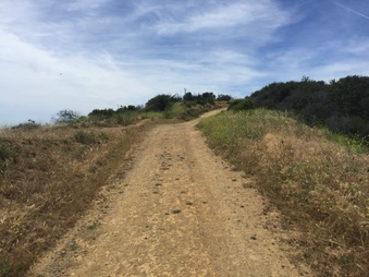 Enlarge photo 43