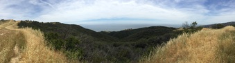 Enlarge photo 57