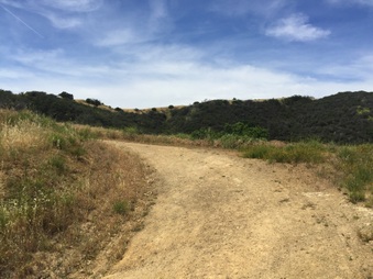 Enlarge photo 42