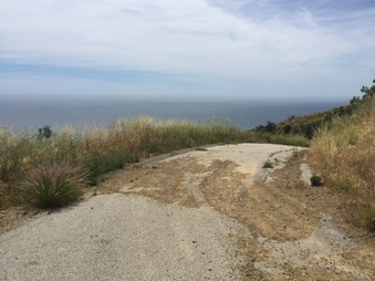 Enlarge photo 41