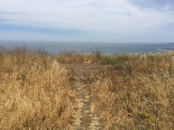 Enlarge photo 30
