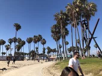Venice Beach