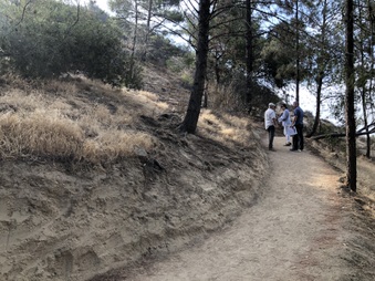 Enlarge photo 7