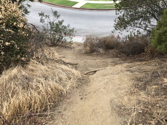 Park