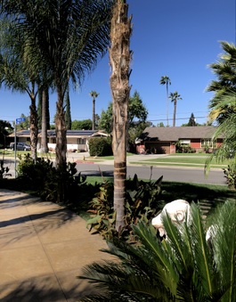 Enlarge photo 21