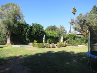 Enlarge photo 39