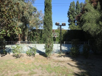 Enlarge photo 40