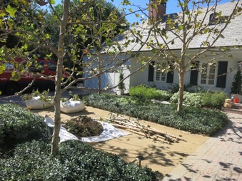 Enlarge photo 9