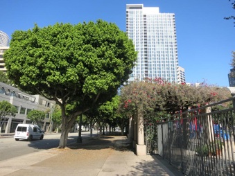 Enlarge photo 8