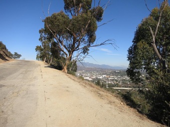 Enlarge photo 4