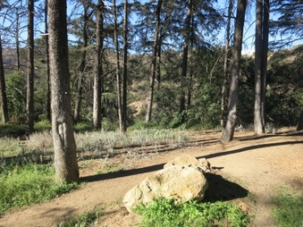 Enlarge photo 34