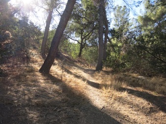 Enlarge photo 11