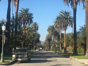 Enlarge photo 2