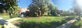 Enlarge photo 3