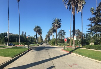 Enlarge photo 16