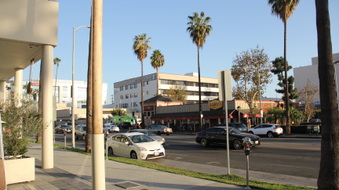 Enlarge photo 40