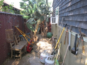Enlarge photo 49