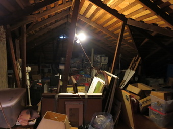 Enlarge photo 63
