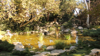 Enlarge photo 4