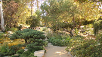 Enlarge photo 5