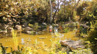 Enlarge photo 7