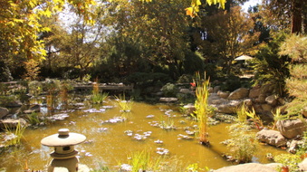 Enlarge photo 8